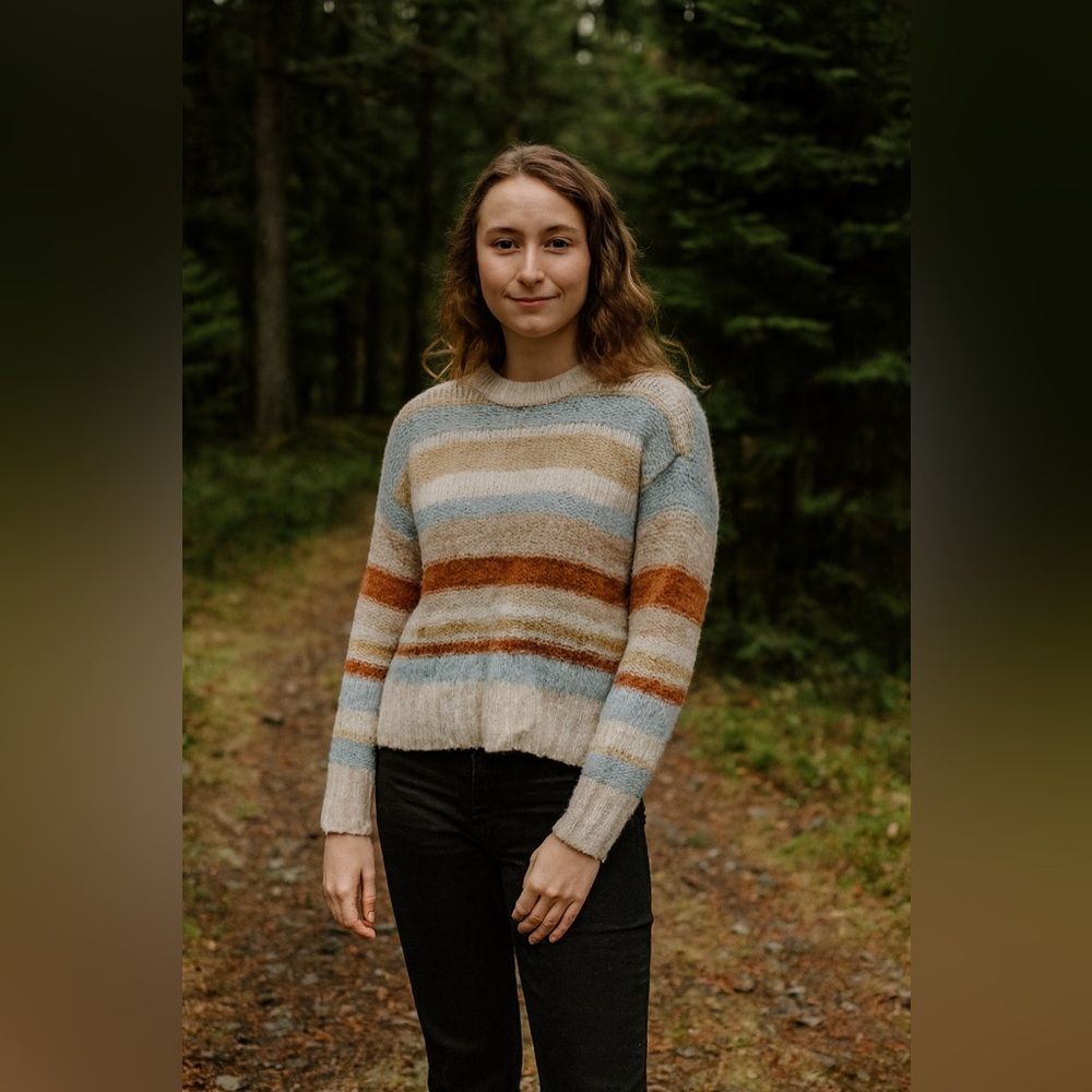 American Eagle Outfitters Earthy Striped Sweater oversized xsmall